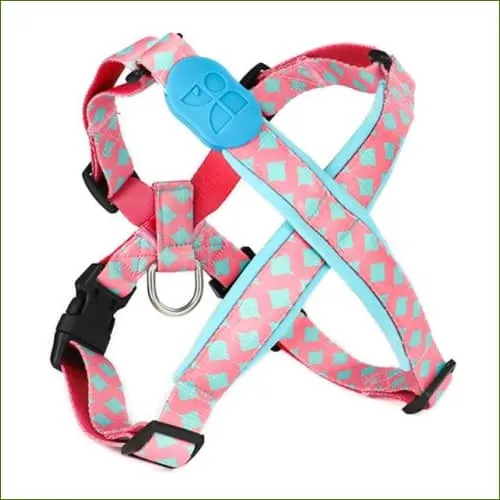 Harnais de luxe pour chien, en nylon avec rembourrage néoprène