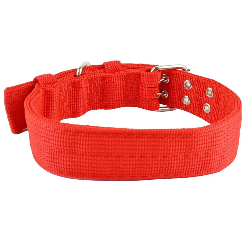 Collier Large Militaire Boucle Métal Double Rangée Chien