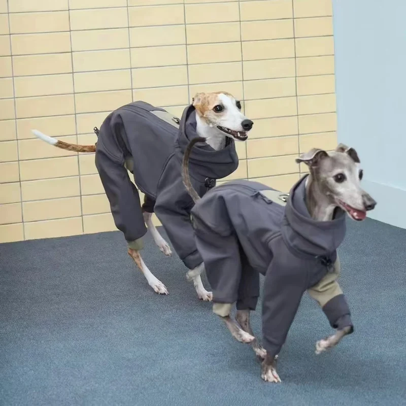 Manteau Intégral 4 Pattes à Capuche Lévrier Whippet