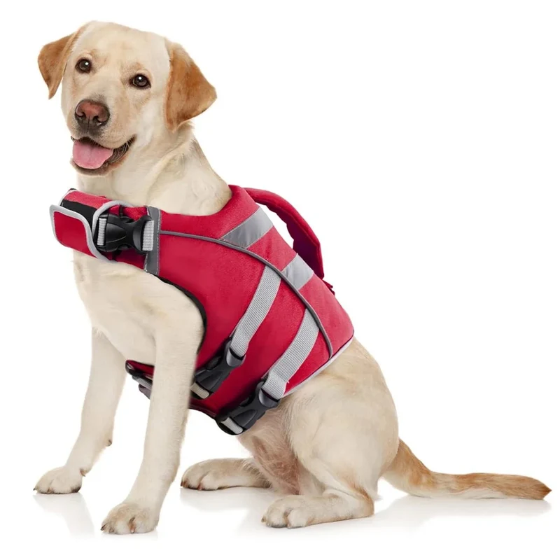 Gilet Sauvetage Flottaison Gros Chien