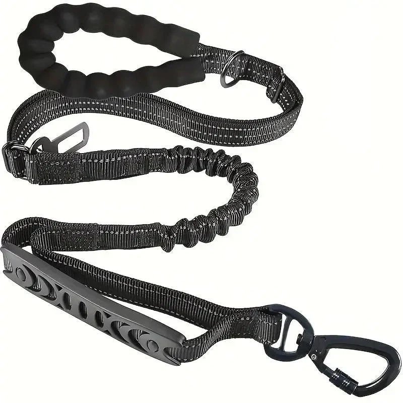 Laisse Anti-Traction Chiot Staffie