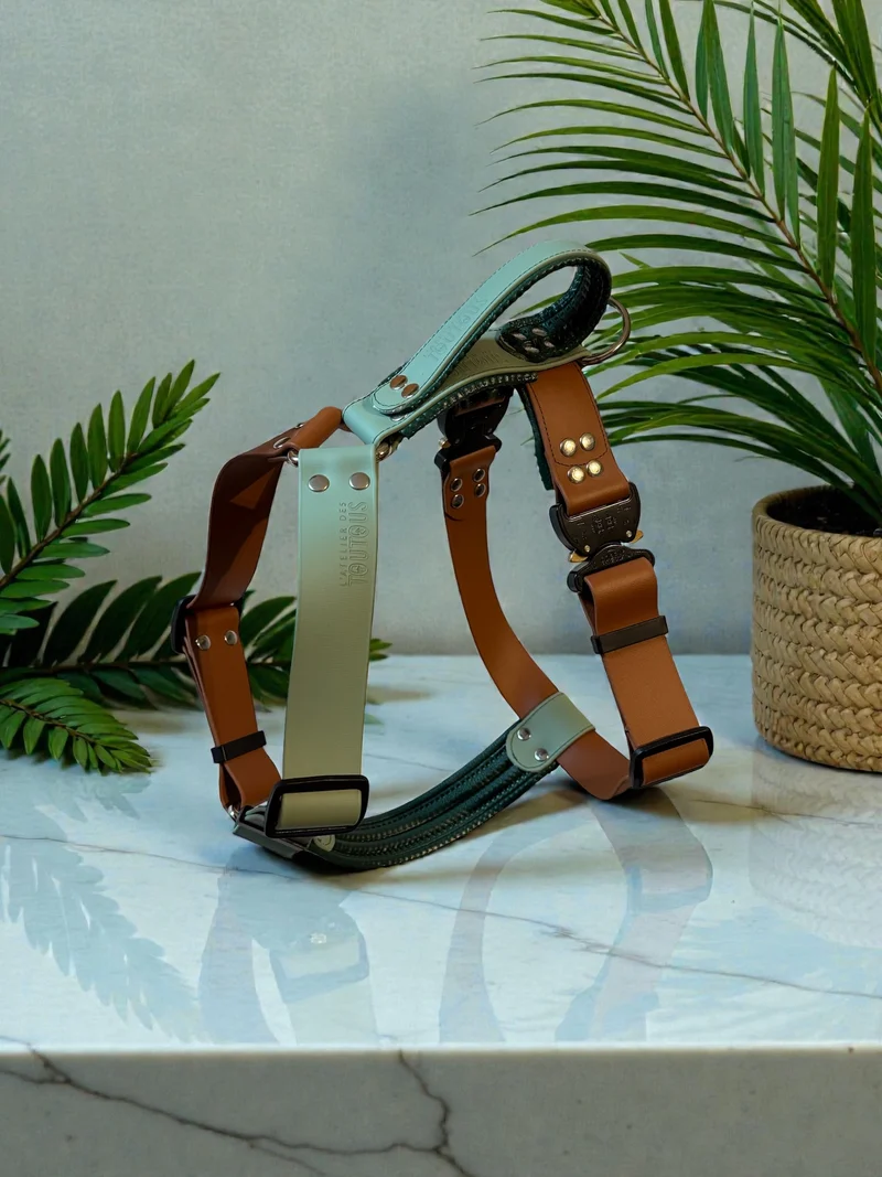 Harnais en Y léger BioThane® 38 mm — Moyens & grands chiens