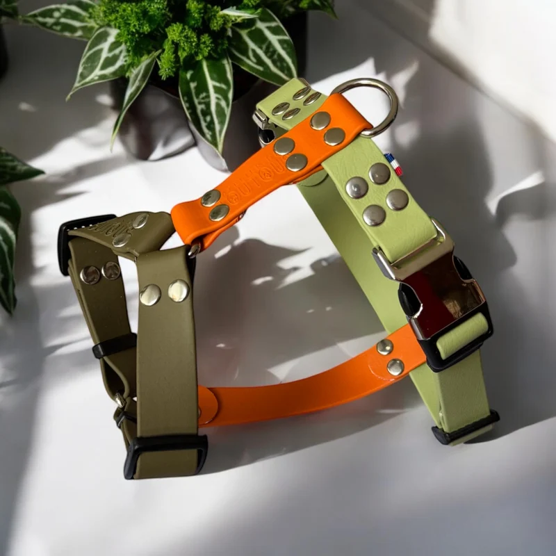 Harnais en Y léger BioThane® 25 mm — Tous chiens