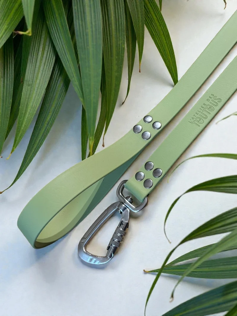 Laisse BioThane® courte · Ville et éducation