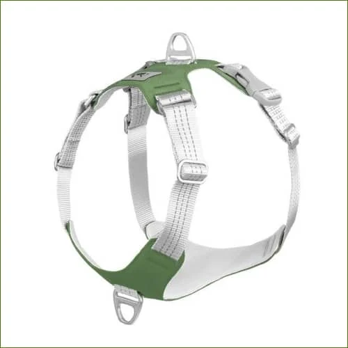 Harnais avec système anti-tirage à double attache pour chien