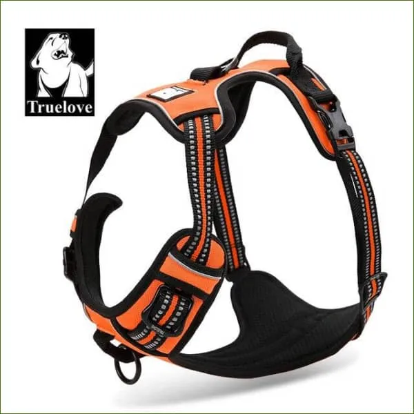 Harnais pour Beagle - modèle à double attaches réfléchissant