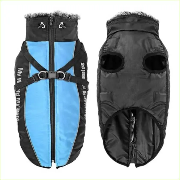 Manteau pour labrador imperméable avec harnais intégré