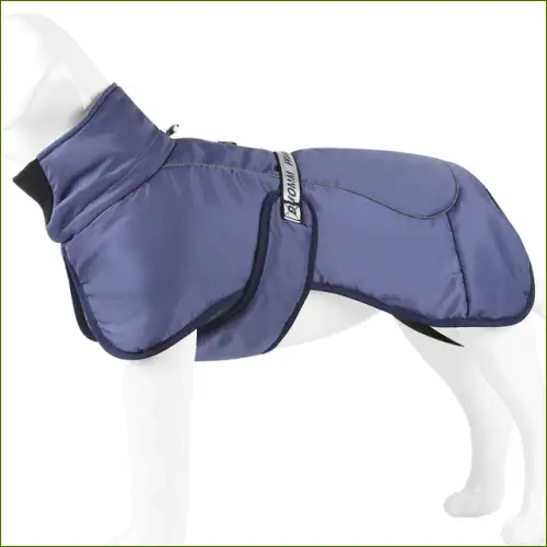 Manteau pour golden retriever - imperméable avec col ajustable