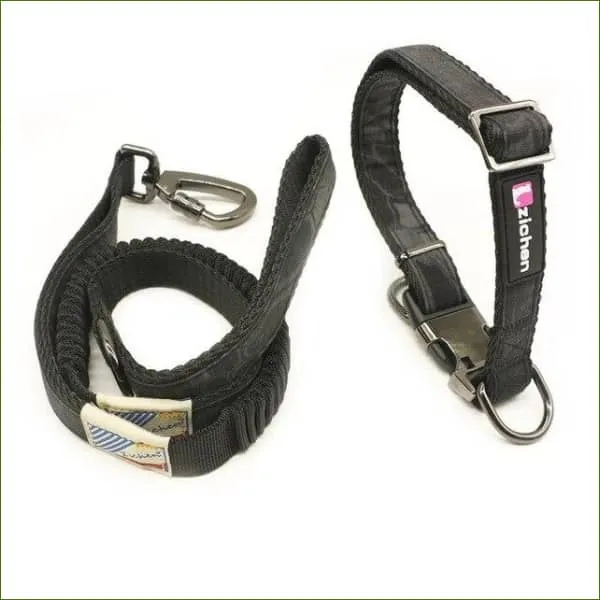 Collier tactique avec sa laisse assortie