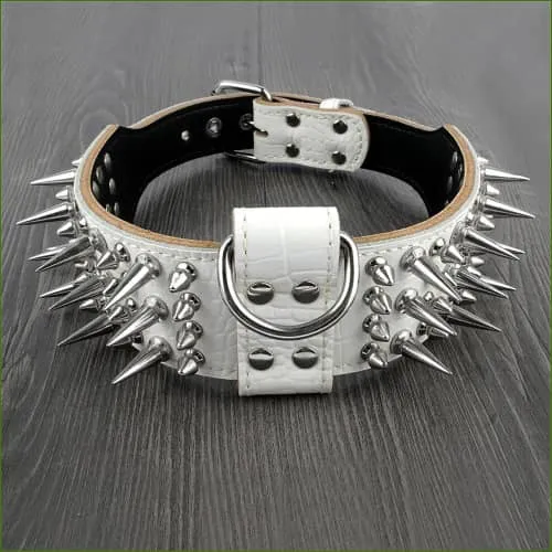 Collier en cuir véritable clouté pour chien