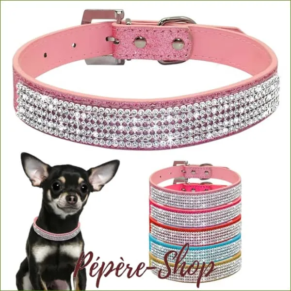 Collier strass petit chien chihuahua, yorkshire ou bichon