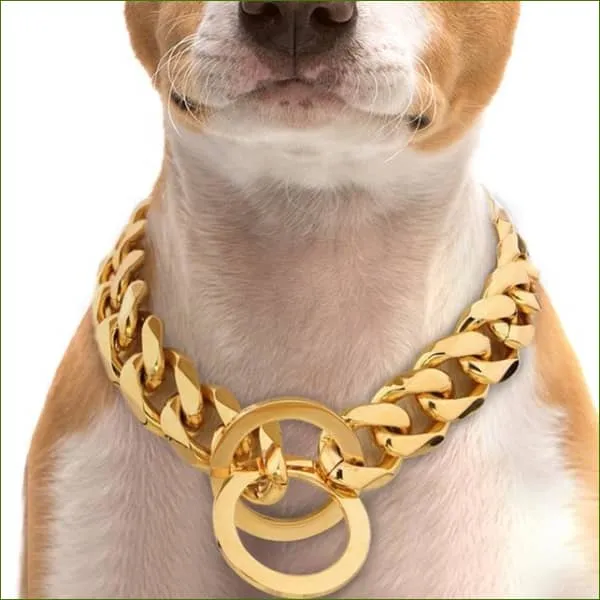 Collier martingale pour chien en chaine style molosse