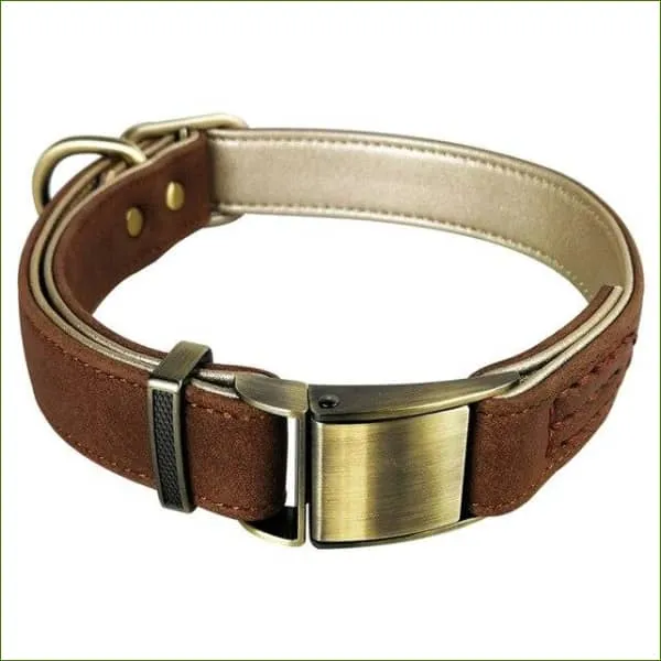 Collier rembourré avec boucle à dégagement rapide pour petit chien en cuir