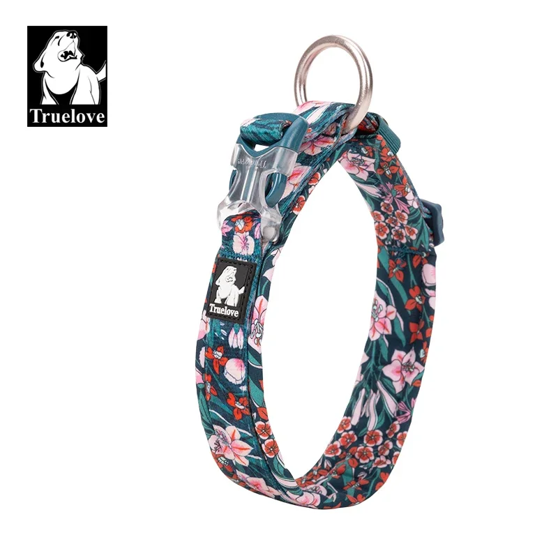 Collier Camouflage Coton Robuste Molosse