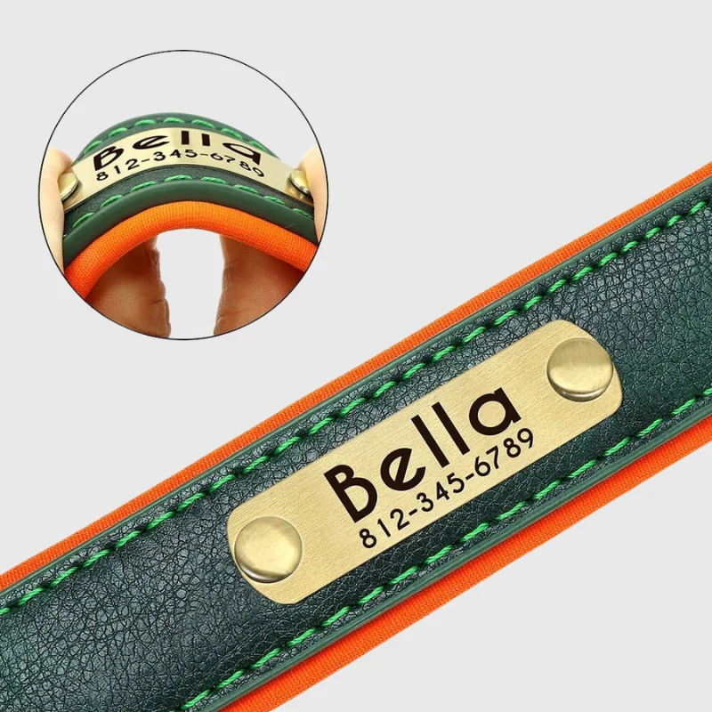 Collier Personnalisable Résistant Gros Chien