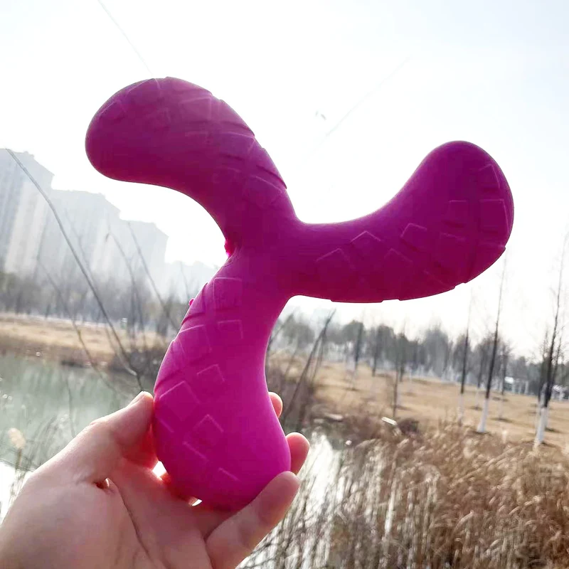Jouet Boomerang Couineur Gros Chien Triangle Flottant