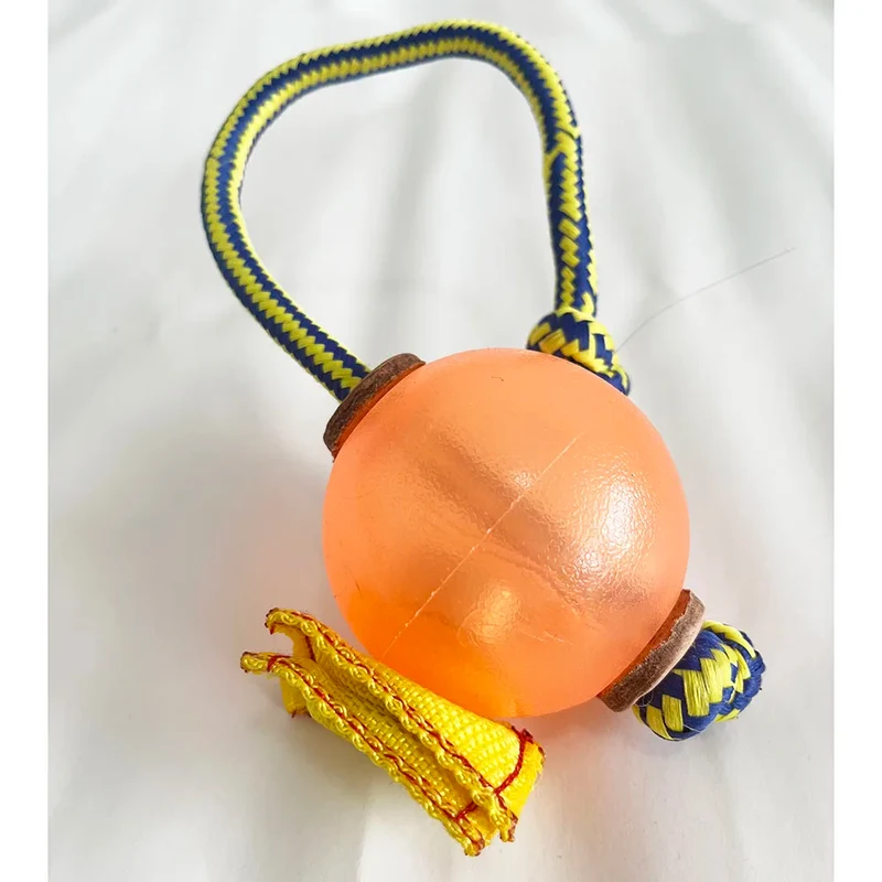 Balle Magnétique Entraînement Gros Chien Avec Corde