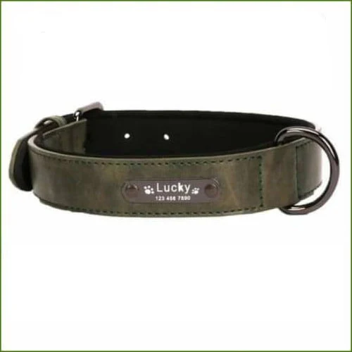 Collier personnalisé pour chien en cuir coloré avec prénom