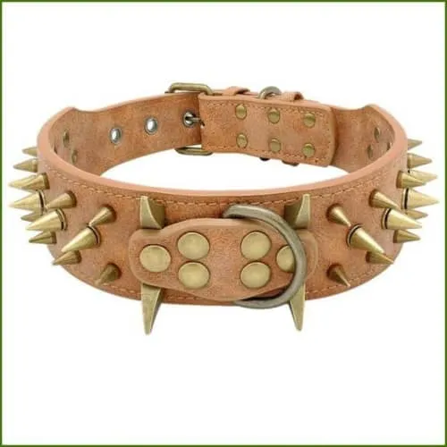 Collier a pointe pour molosse en cuir coloré