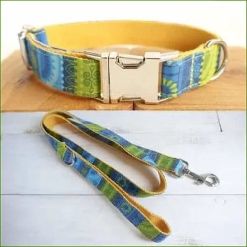 Collier luxe pour chien design coloré et inédit avec sa laisse