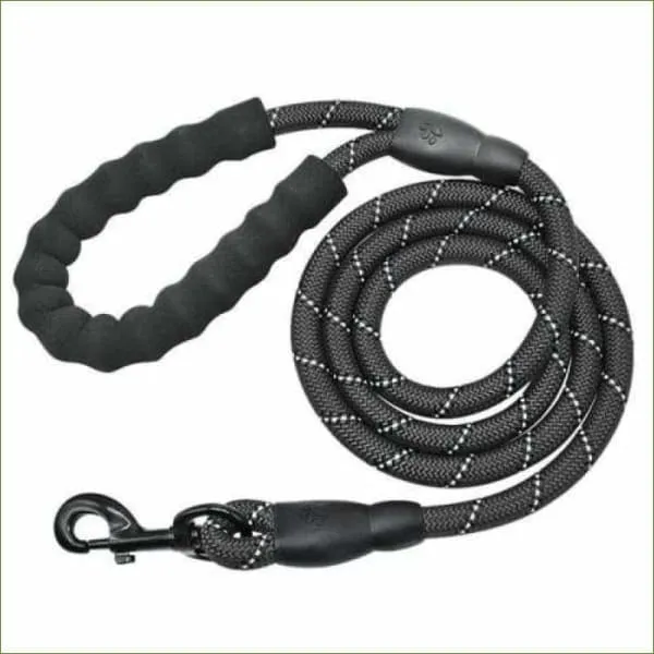 Laisse réfléchissante pour chien - en nylon solide avec mousqueton