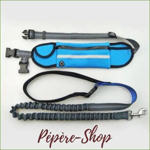 Ceinture jogging pour chien nylon avec laisse et poches