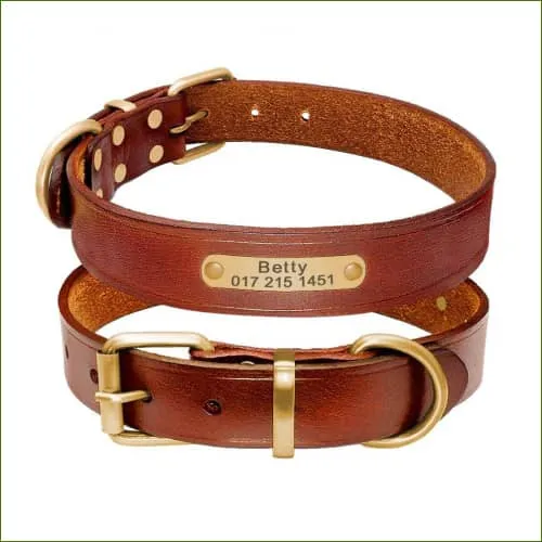 Collier personnalisable pour chien en cuir véritable avec gravure laser