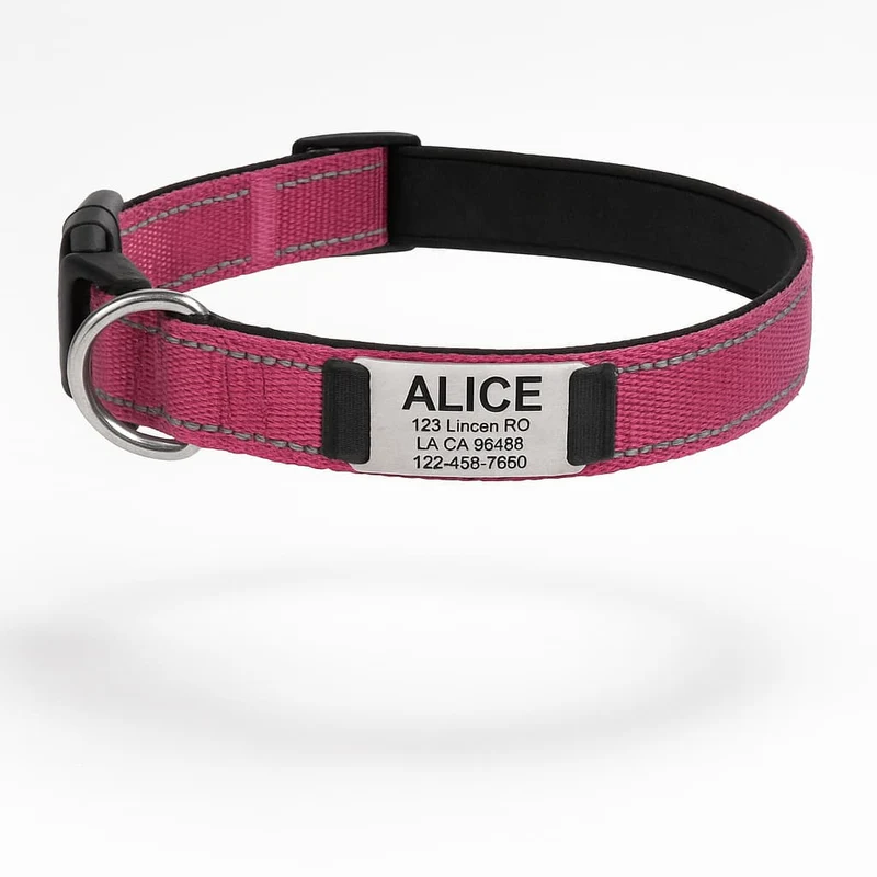 Collier Réfléchissant Personnalisable Identité Gros Chien