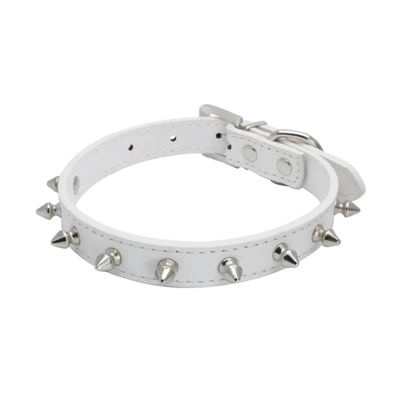 Collier Cuir Blanc Clouté Pitbull Mastiff