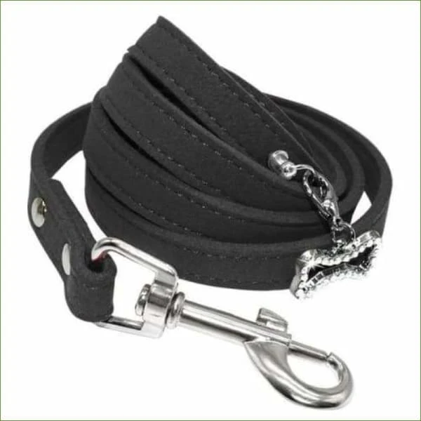 Laisse de chien haut de gamme en cuir de luxe avec pendentif décoratif
