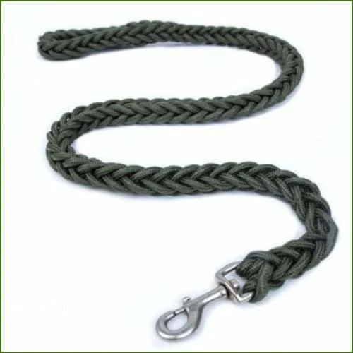 Laisse en nylon pour chien puissant