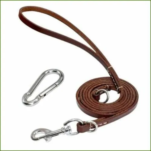 Laisse en cuir pour gros chien avec anneau en acier couleur Marron