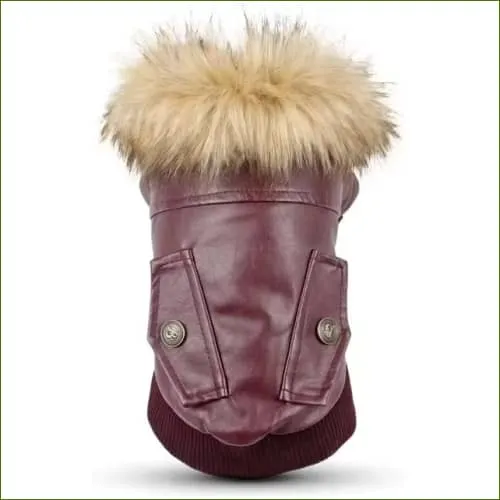 Blouson en cuir pour chien , modèle doublée en polaire , design aviateur