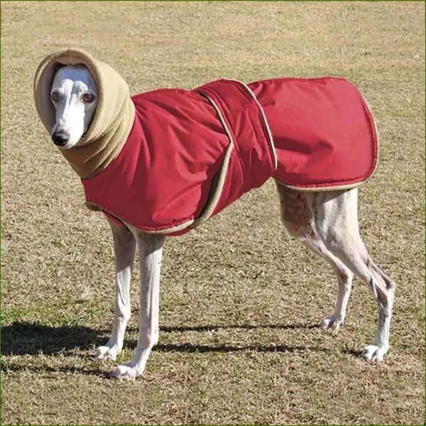 Manteau pour lévrier - Whippet ou lévrier Italien - imperméable