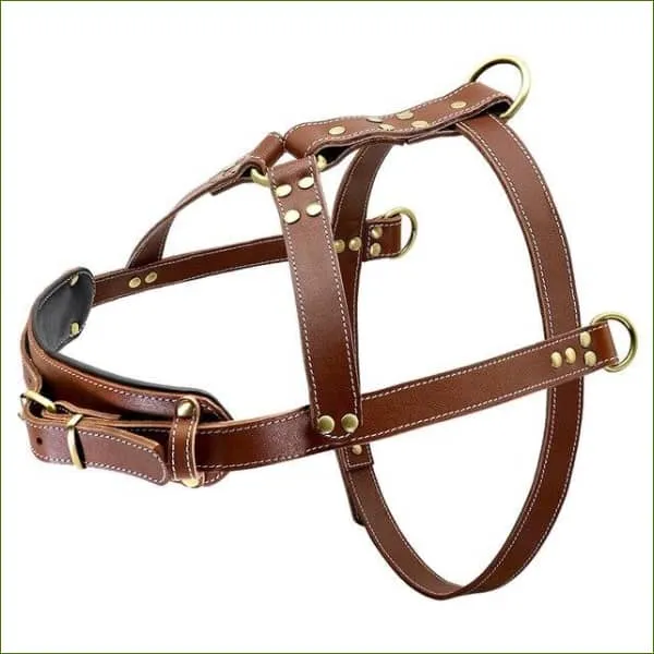 Harnais canin triple attache haut de gamme - modèle en cuir véritable solide et durable