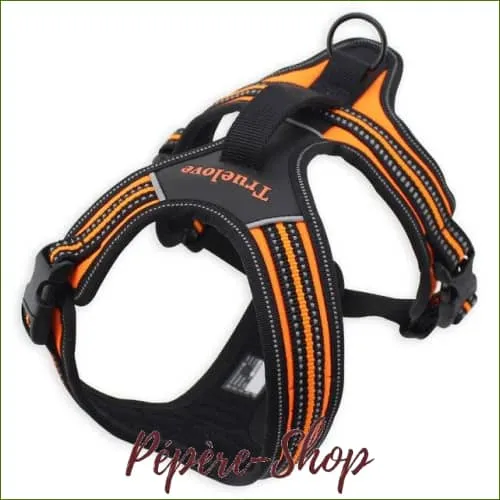 Harnais modèle FOREST pour grand chien double attache