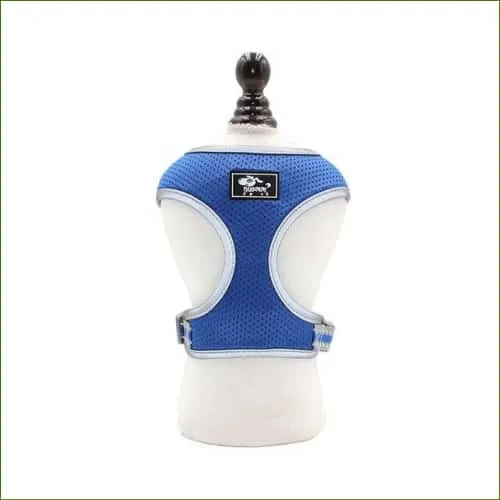Harnais ergonomique pour corgi avec sa laisse assortie pour la promenade
