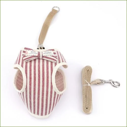 Harnais pour chiot chihuahua - modèle design - avec laisse assortie