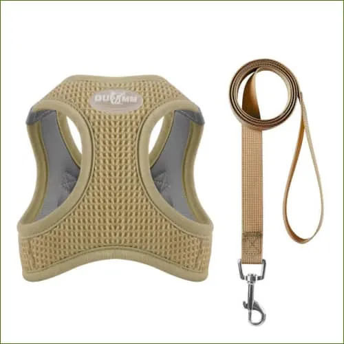 Harnais fantaisie - modèle ergonomique avec laisse assortie