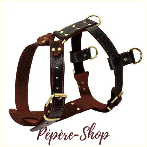 Harnais 3 points d'attache pour chien - modèle en cuir véritable avec boucles à ardillons