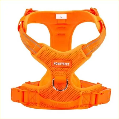 Harnais pour berger australien ajustable et ergonomique avec poignée