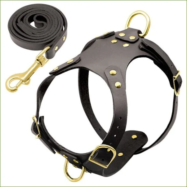 Harnais et laisse en cuir pas cher