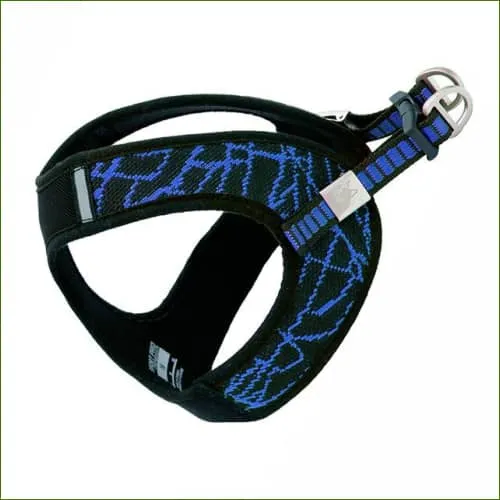 Harnais pour Carlin ou Chihuahua design , confortable MIDOG