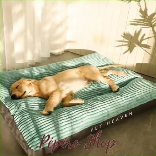 Matelas rectangulaire xxl pour chien - confortable