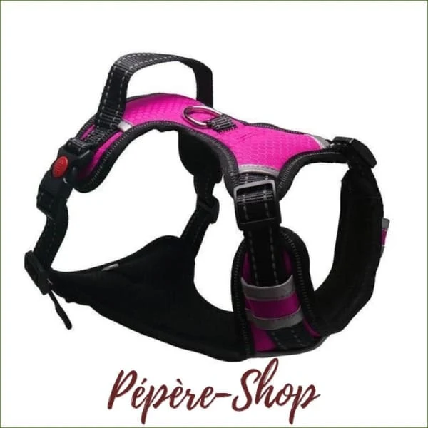 Harnais ergonomique avec poignée pour grand chien - réfléchissant ajustable haute qualité