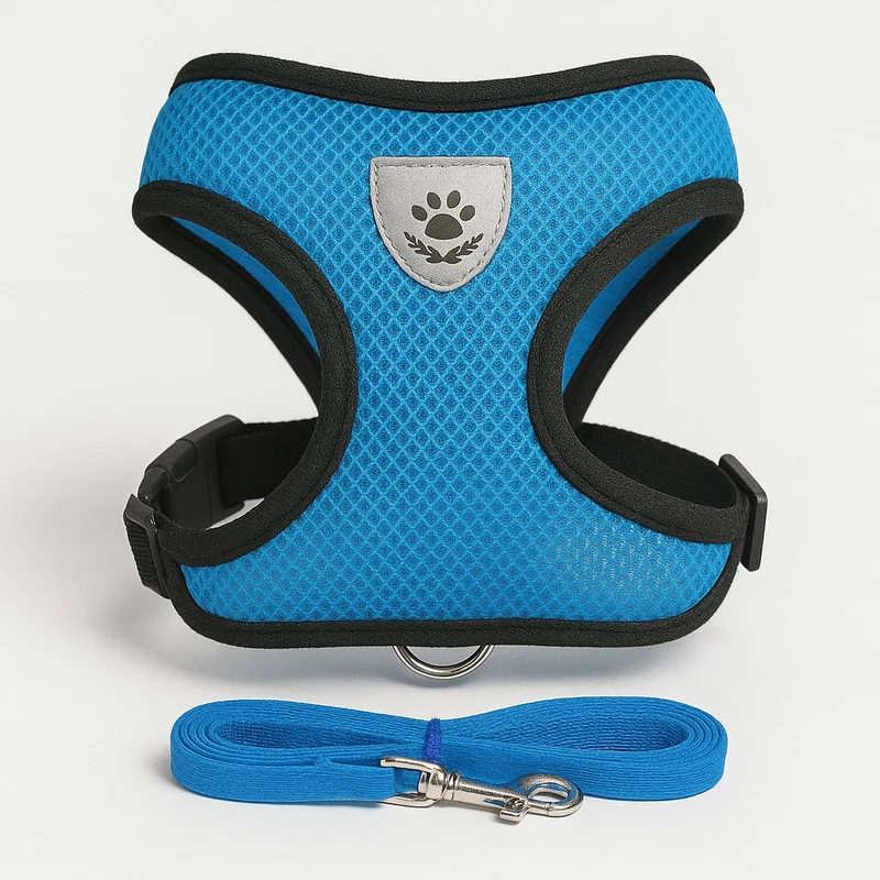 Set Harnais Laisse Petit Chien Coloré Confort