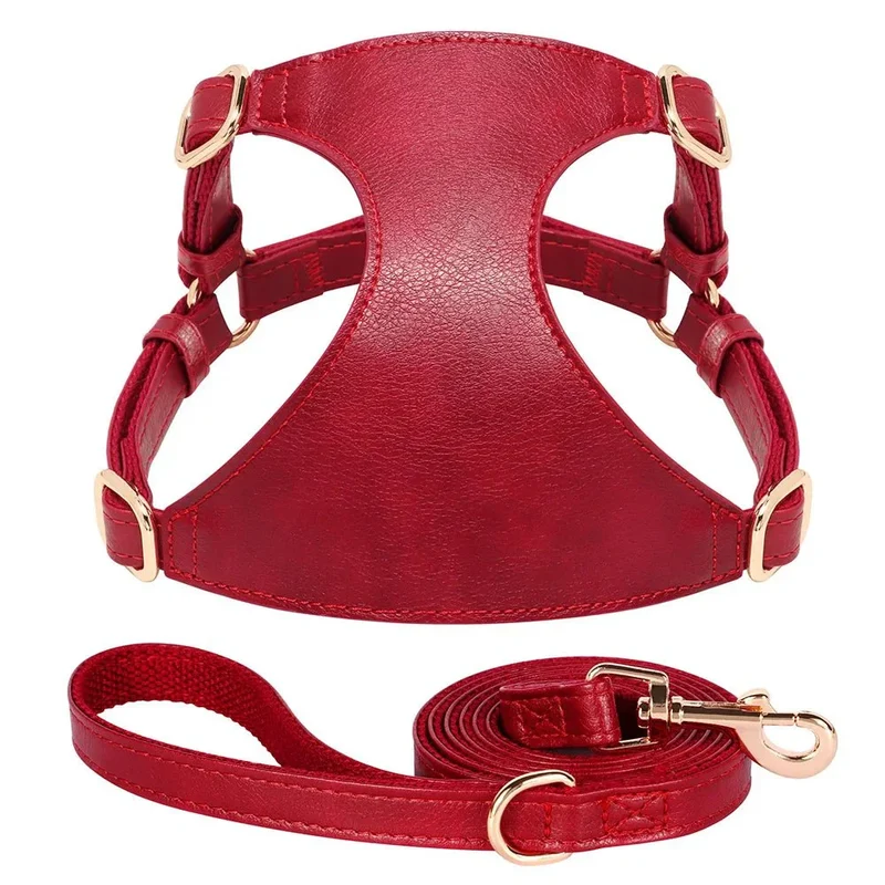 Harnais Cuir Réglable Petit Gros Chien Laisse