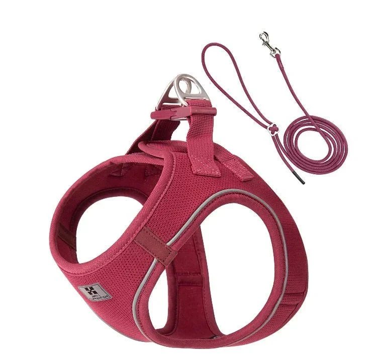 Set Harnais Laisse Chiot Nylon Respirant