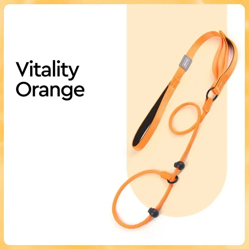 Collier Éducation Nylon 170cm Gros Chien
