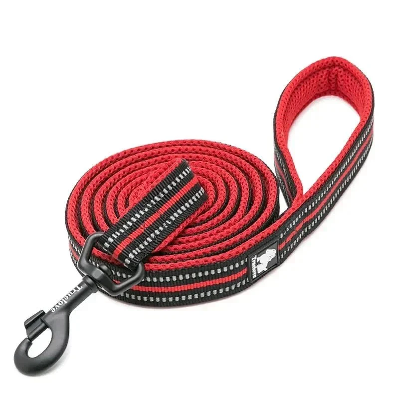 Laisse Réfléchissante Rouge Gros Chien 2m